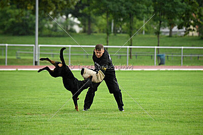Ipet von den Wichtelhäusern