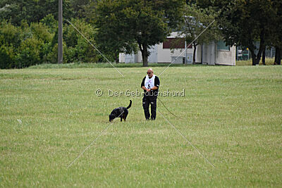 Ipet von den Wichtelhäusern