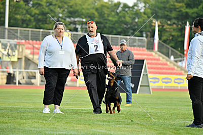 Ipet von den Wichtelhäusern