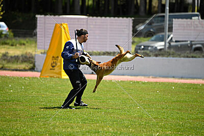 Iris Veranis K-9 Dog Center