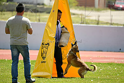 Iris Veranis K-9 Dog Center