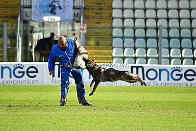 Irma vom Schloß Eberstein