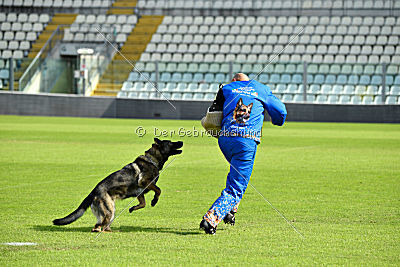 Irma vom Schloß Eberstein