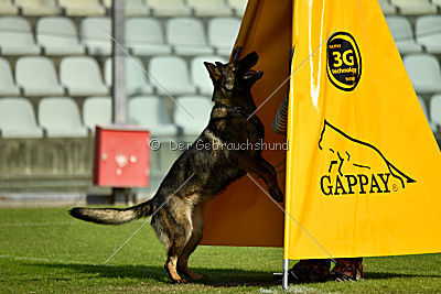 Irma vom Schloß Eberstein