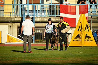 Irmo Cwinta van de Maas-Niers Vallei