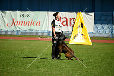 Irmo Cwinta van de Maas-Niers Vallei