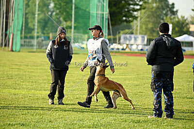 Irokk vom Streitwald