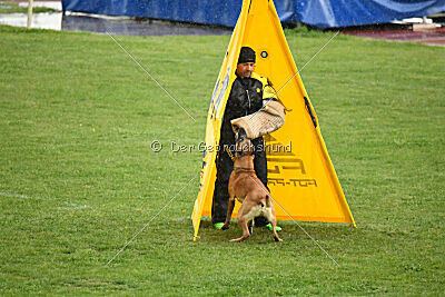 Irokk vom Streitwald