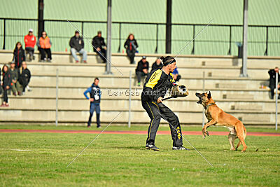 Irokk vom Streitwald