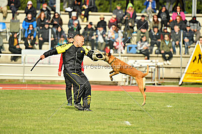 Irokk vom Streitwald