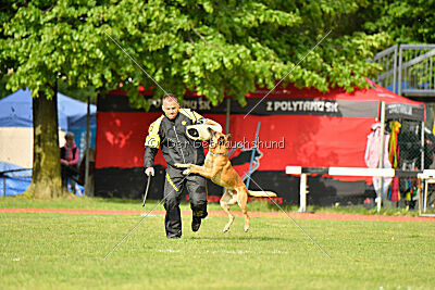 Irokk vom Streitwald