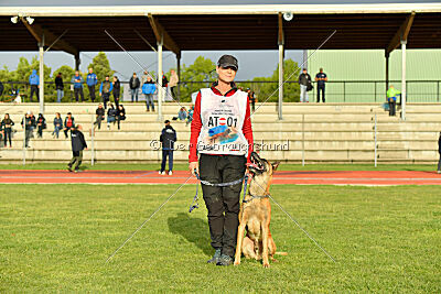 Irokk vom Streitwald