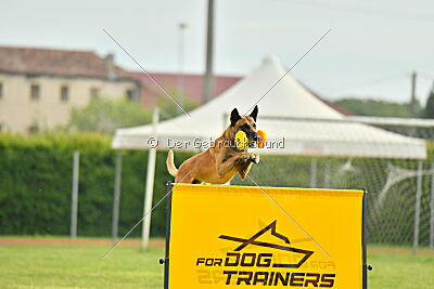 Irokk vom Streitwald