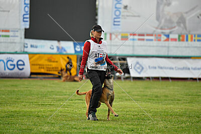 Irokk vom Streitwald