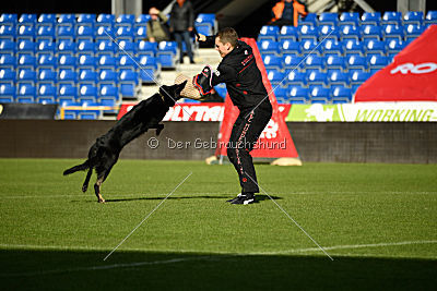 Iska von der Eisspitzen