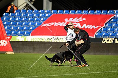 Iska von der Eisspitzen