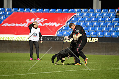 Iska von der Eisspitzen