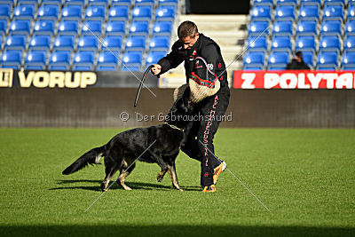 Iska von der Eisspitzen