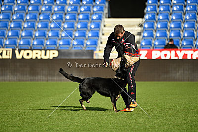 Iska von der Eisspitzen