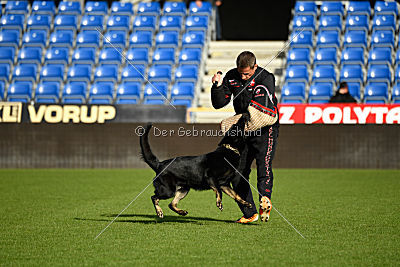 Iska von der Eisspitzen