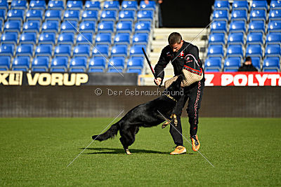 Iska von der Eisspitzen