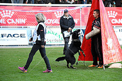 Iska von der Eisspitzen