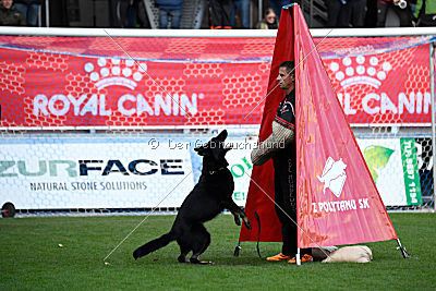 Iska von der Eisspitzen