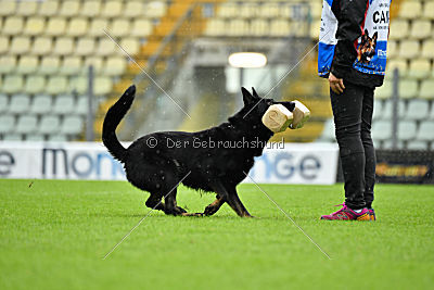 Iska von der Eisspitzen