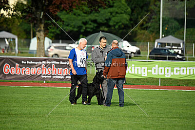 Isko vom Seddiner See