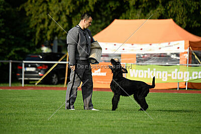 Isko vom Seddiner See