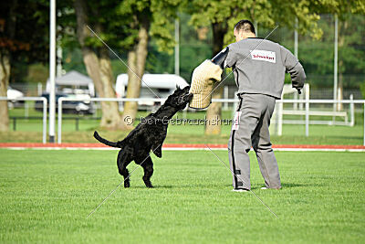 Isko vom Seddiner See