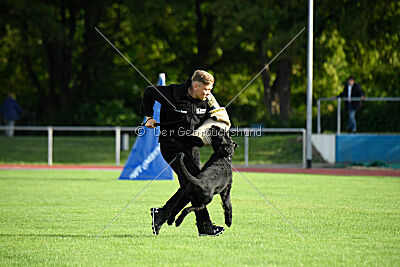 Isko vom Seddiner See