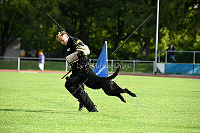 Isko vom Seddiner See