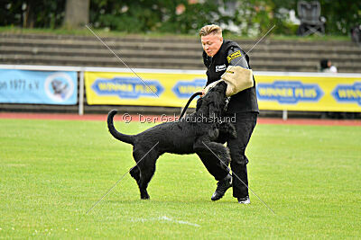 Isko vom Seddiner See