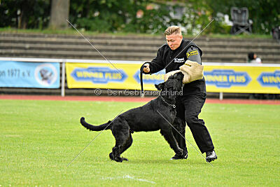 Isko vom Seddiner See