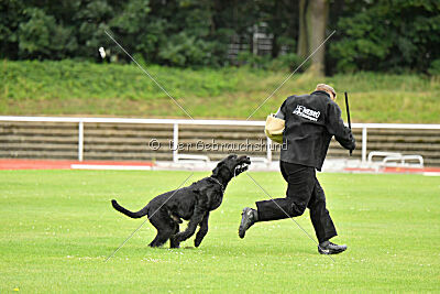 Isko vom Seddiner See