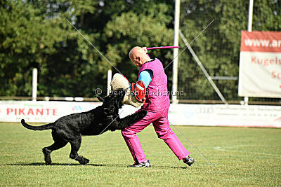 Isko vom Seddiner See