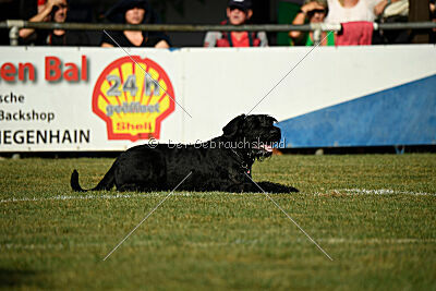 Isko vom Seddiner See