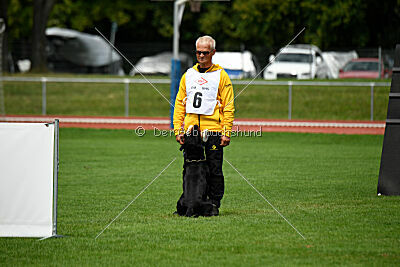 Iva von den Wichtelhäusern