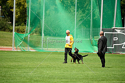 Iva von den Wichtelhäusern