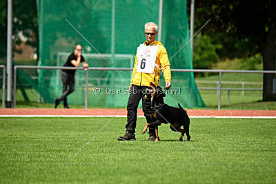 Iva von den Wichtelhäusern