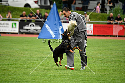 Iva von den Wichtelhäusern