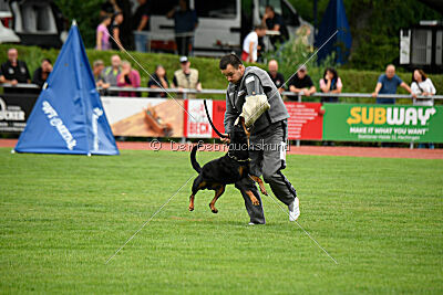 Iva von den Wichtelhäusern