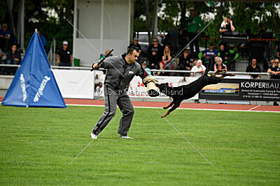 Iva von den Wichtelhäusern