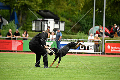 Iva von den Wichtelhäusern