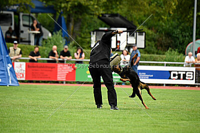 Iva von den Wichtelhäusern