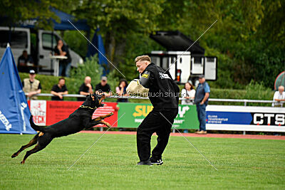 Iva von den Wichtelhäusern