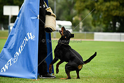 Iva von den Wichtelhäusern