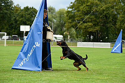 Iva von den Wichtelhäusern