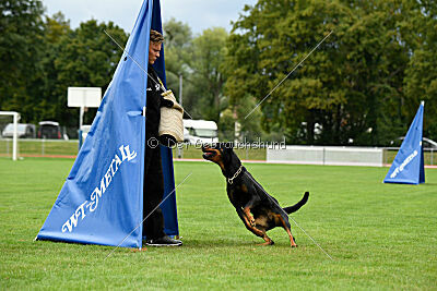 Iva von den Wichtelhäusern
